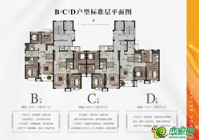 B/C/D戶型平面圖