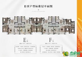 E/F戶型平面圖