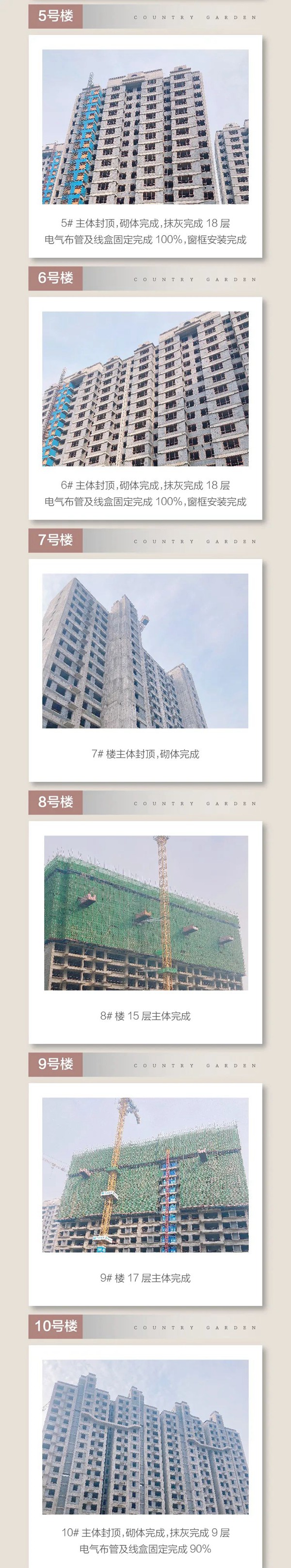 碧桂園星鉆丨金秋詩碩果，家音敘溫情
