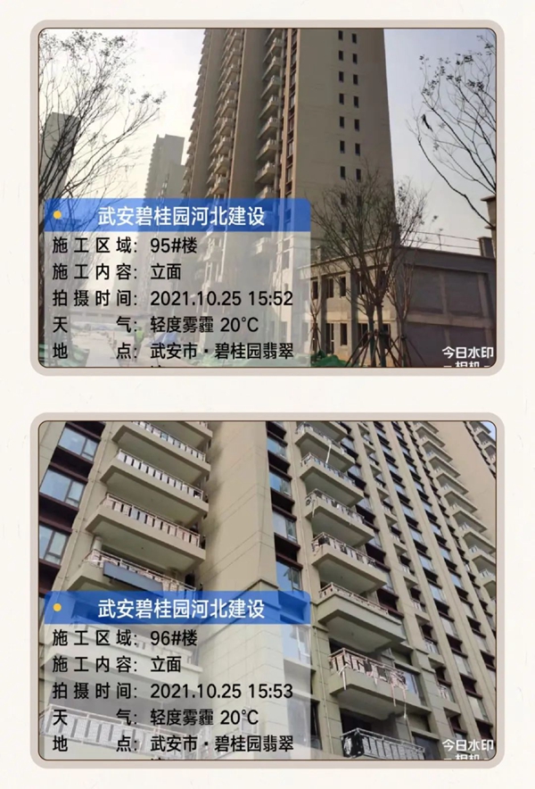 邯鄲碧桂園翡翠灣家書 | 佳音至 鑒臻情