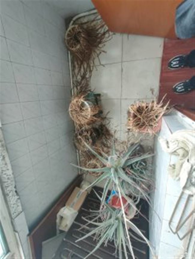 礦院附中附小，老證可貸款，看房方便