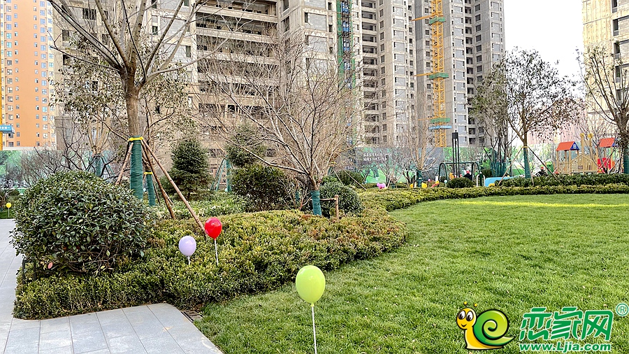 示范區(qū)實景圖（2021.11.13）