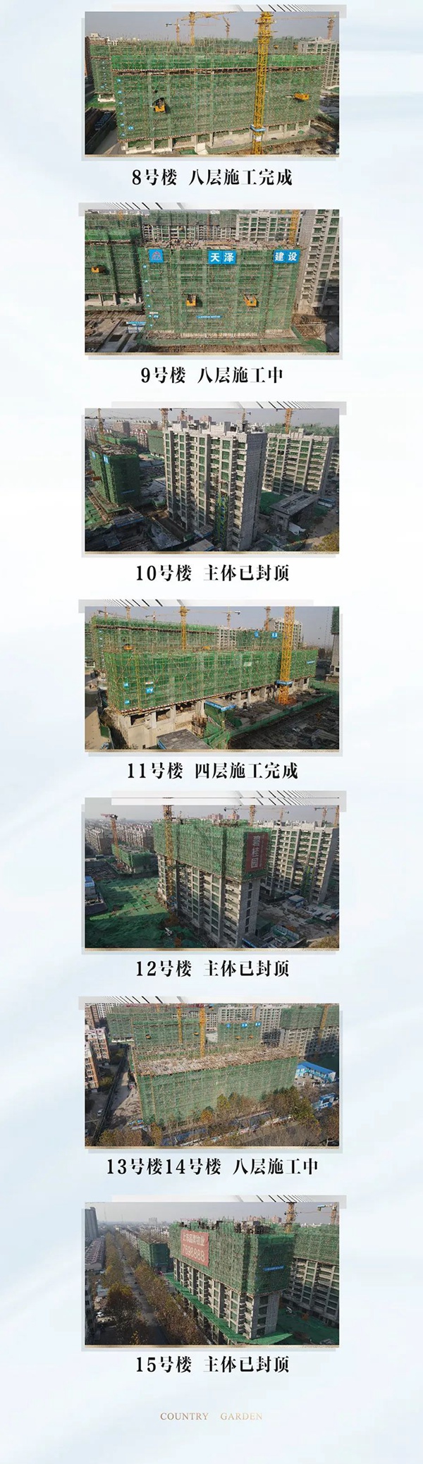 碧桂園鳳麟府 | 11月家書已至，幸福家音待君啟