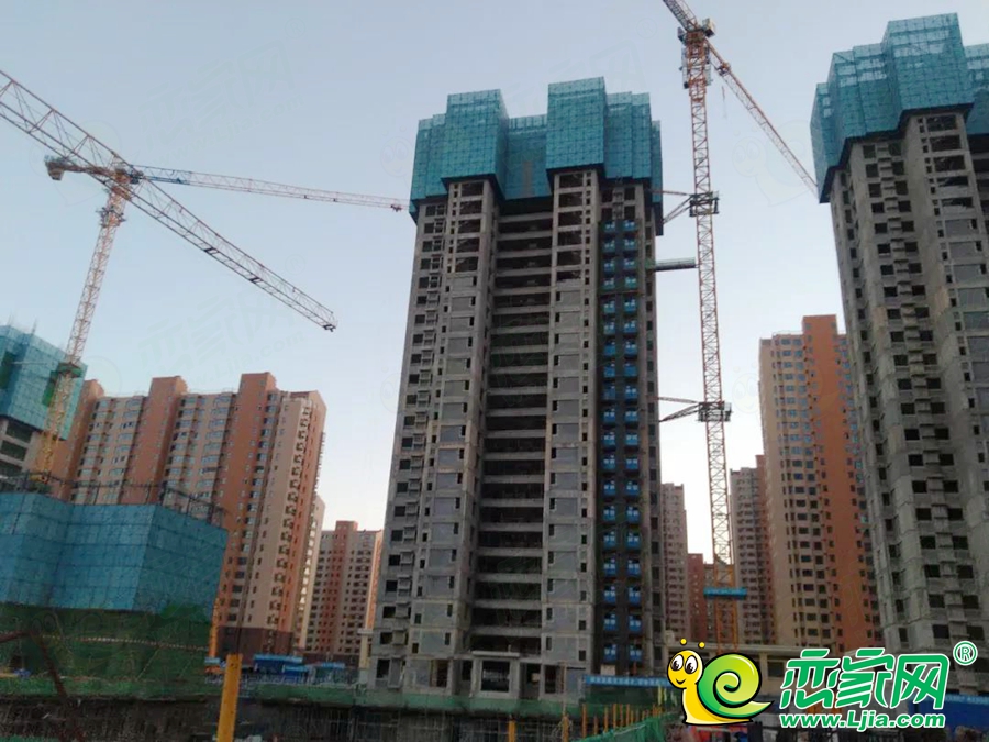 凱旋門14#實景圖（2021.11.30）