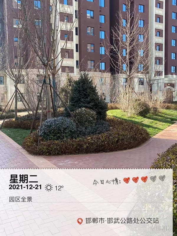 澤信IN邯鄲 | 嚴(yán)守承諾 按時(shí)交付！澤信邯鄲用信譽(yù)展現(xiàn)品牌實(shí)力！