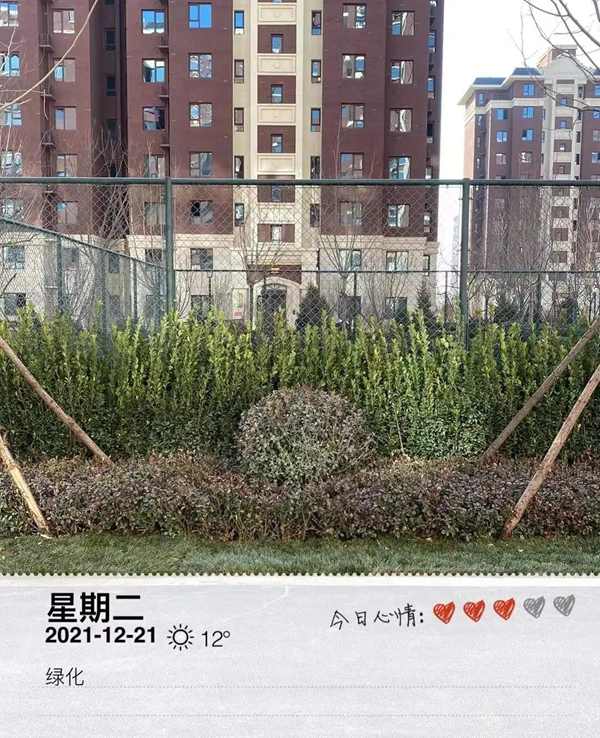 澤信IN邯鄲 | 嚴(yán)守承諾 按時(shí)交付！澤信邯鄲用信譽(yù)展現(xiàn)品牌實(shí)力！