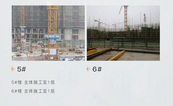 澤信地產(chǎn)丨四季輪轉(zhuǎn)，家音又至，展望新歲美好