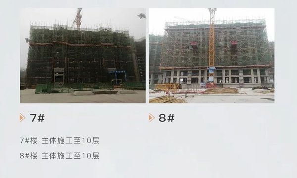 澤信地產(chǎn)丨四季輪轉(zhuǎn)，家音又至，展望新歲美好