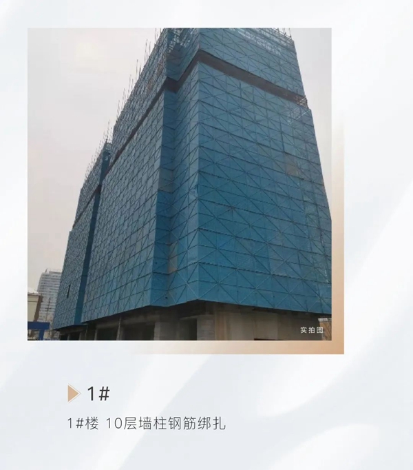 邯鄲澤信公館丨春意到訪，家音美好而至