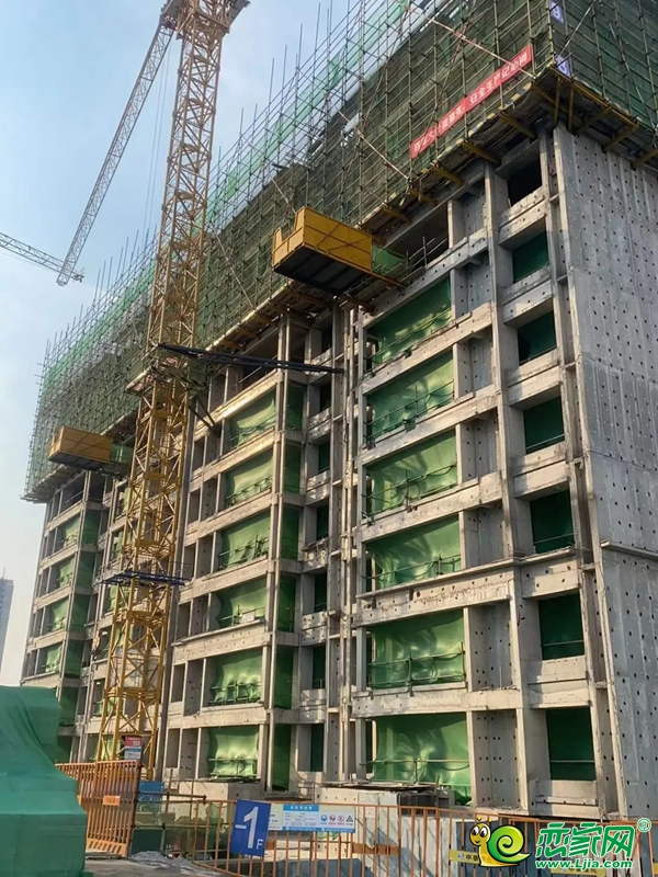 美的·榮科羅蘭峯景 | 家書暖心至，共鑒幸福家