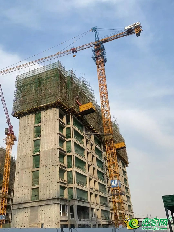 美的·榮科羅蘭峯景 | 家書暖心至，共鑒幸福家