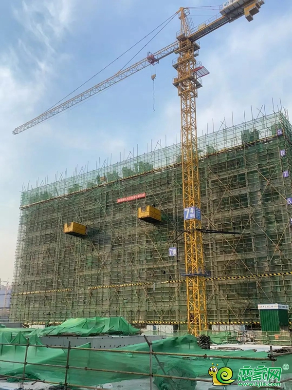 美的·榮科羅蘭峯景 | 家書暖心至，共鑒幸福家