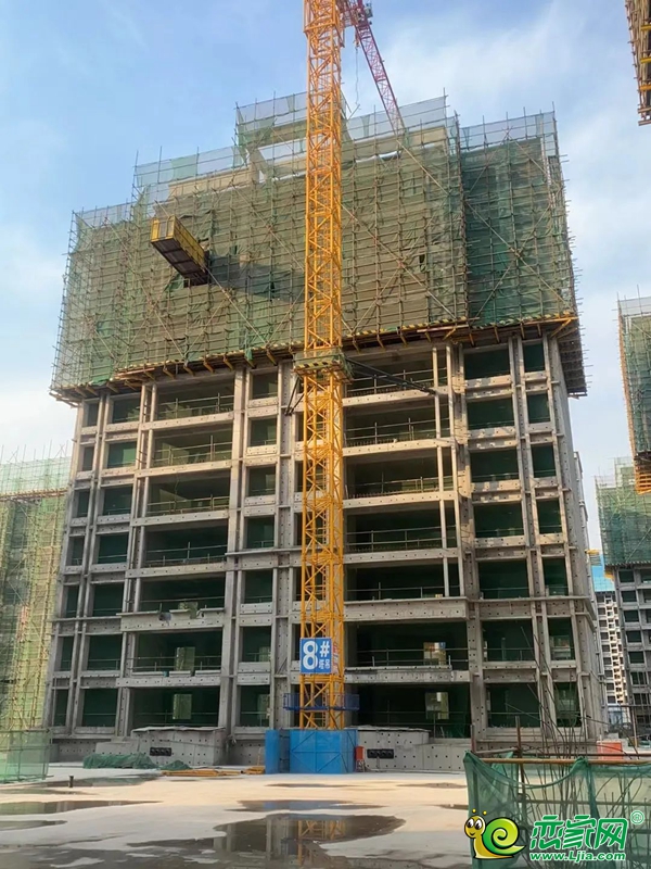 美的·榮科羅蘭峯景 | 家書暖心至，共鑒幸福家