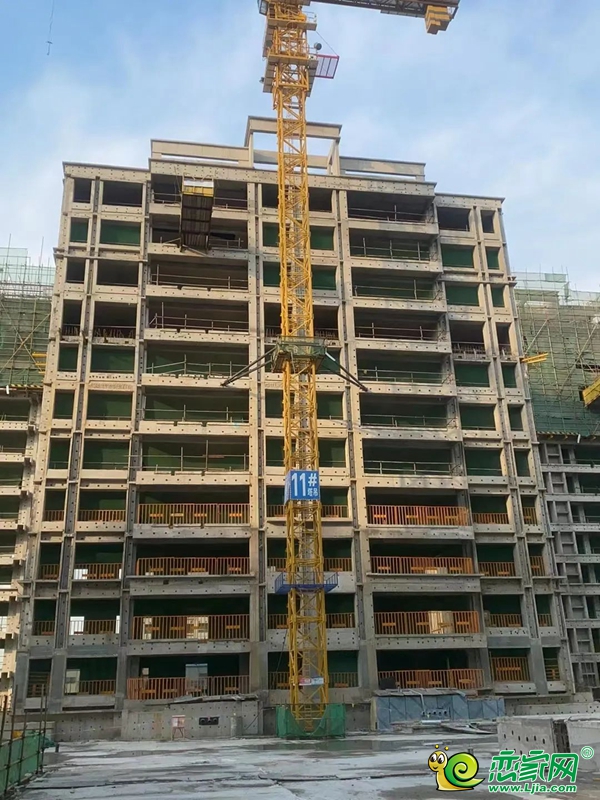 美的·榮科羅蘭峯景 | 家書暖心至，共鑒幸福家