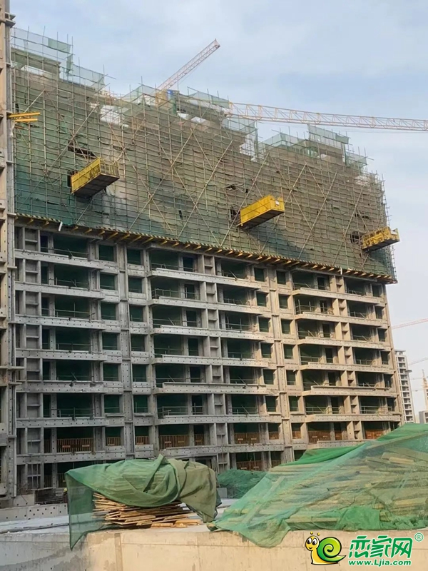 美的·榮科羅蘭峯景 | 家書暖心至，共鑒幸福家