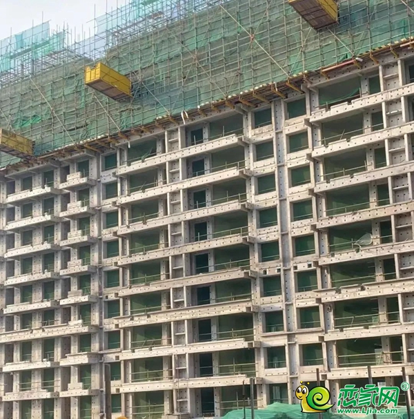 美的·榮科羅蘭峯景 | 家書暖心至，共鑒幸福家