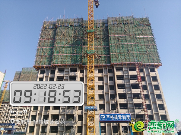 2月家書丨美的天正智慧城 春風如絮 美好如期