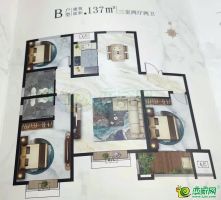 B戶型