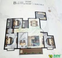B3戶型