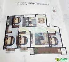 C 戶型
