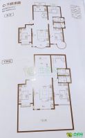 C1下躍洋房