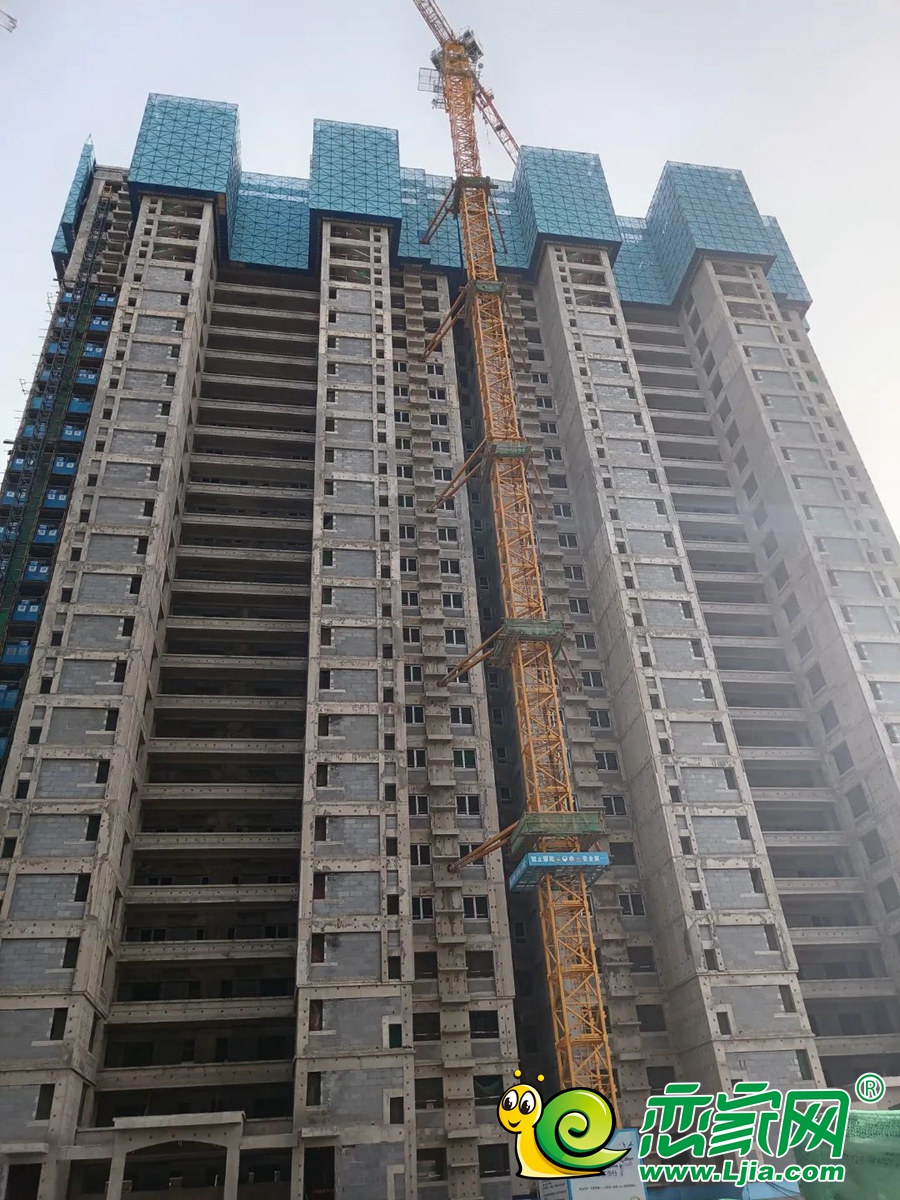 11#實景圖（2022.03.09）