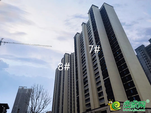 3月家書丨美的·錦觀城 春風(fēng)有信，共鑒家音