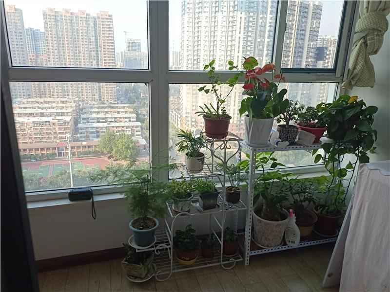 叢臺(tái)路 25 沁樂(lè)園附近 青年苑 大三居 老證可貸款 雙氣