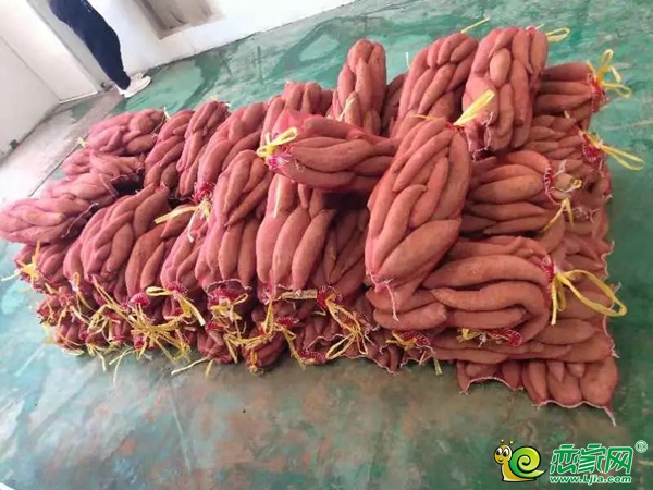 “愛心助農(nóng)，保利鮮行”肥鄉(xiāng)站助農(nóng)惠民公益活動