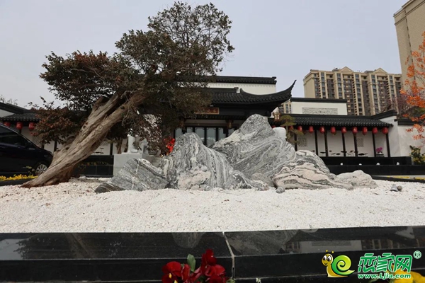 “ 久等了 五代住宅 ” 引發(fā)全城熱議！原來是…