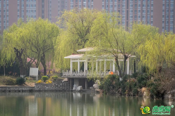 公園明筑 | 在邯鄲，有私人公園是什么樣體驗？