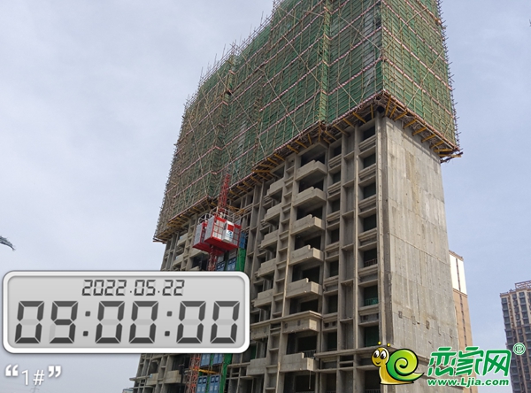 5月家書丨美的·天正智慧城 枝葉漸繁 美好漸近