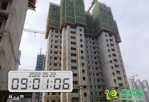 5月家書丨美的·天正智慧城 枝葉漸繁 美好漸近