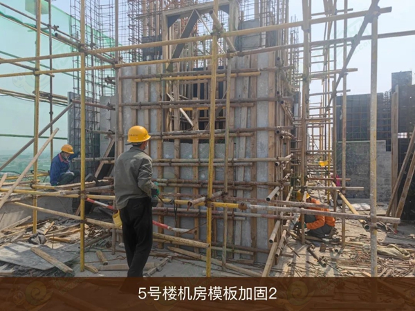 五月工程進度播報 | 不負期許，美好如約而至