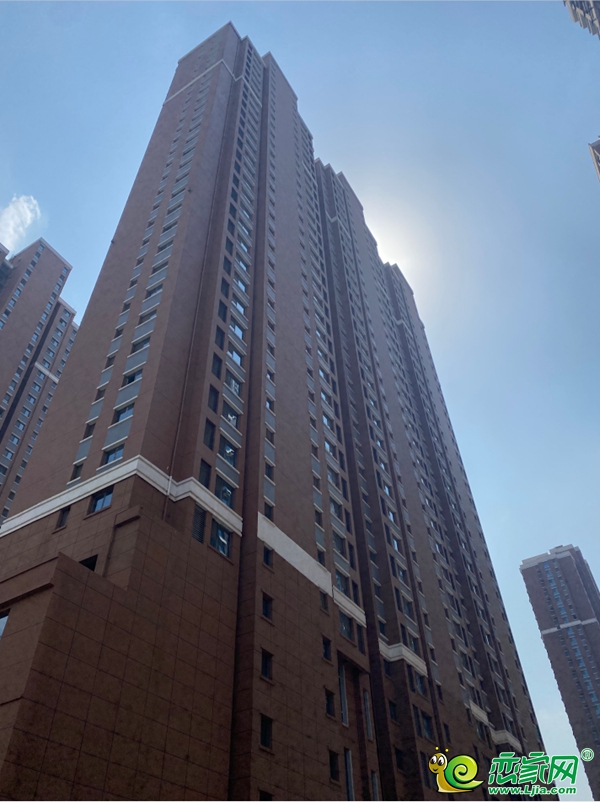 公園明筑 | 美好向新 步履不止 最新工程進度播報