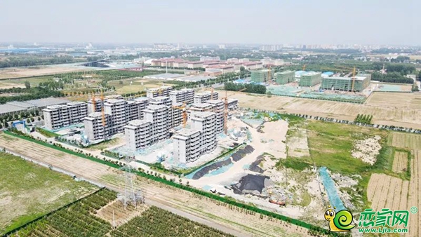 2022年已經(jīng)過(guò)半：邯鄲館陶樓盤進(jìn)展如何？