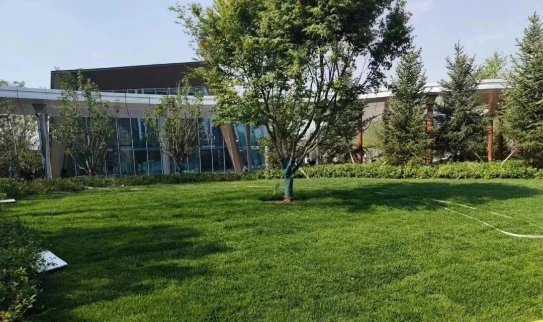 邯鄲叢臺(tái)區(qū)：轉(zhuǎn)角即公園 入眼皆美景