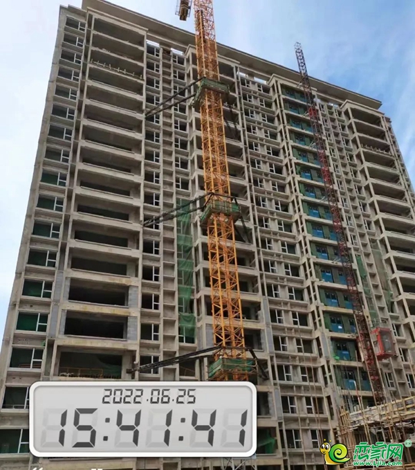 6月家書 | 邯鄲美的盛世西望 仲夏蟬鳴 聆聽家音