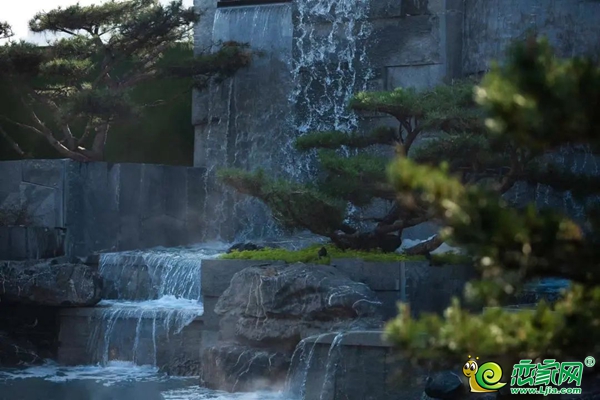 “出攤兒啦”！全網(wǎng)爆火的后備箱主題市集，來山河璽院了！