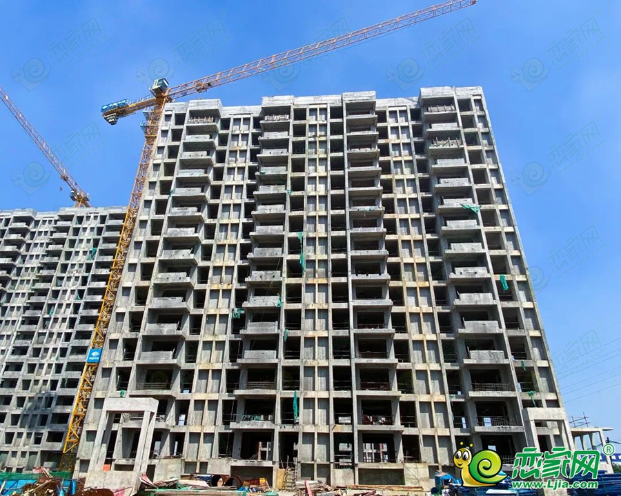 新城佳園璟園5#實(shí)景圖（2022.09.03）