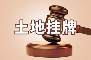 邯鄲東區(qū)1宗中小學(xué)地塊+3宗住宅用地掛牌 起拍價(jià)共計(jì)12.74億