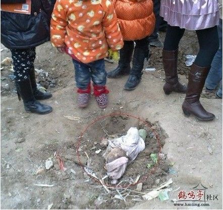 小孩被挖器官事件图片