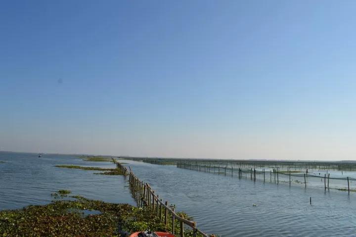 阳澄湖大闸蟹养殖基地