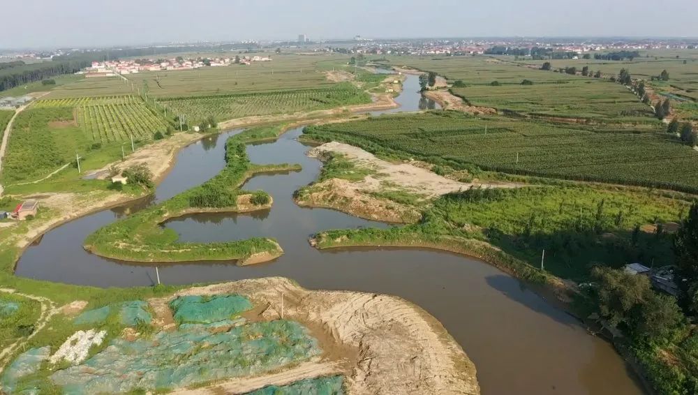 经开区滏阳河生态修复工作取得初步成效!_邯郸恋家网