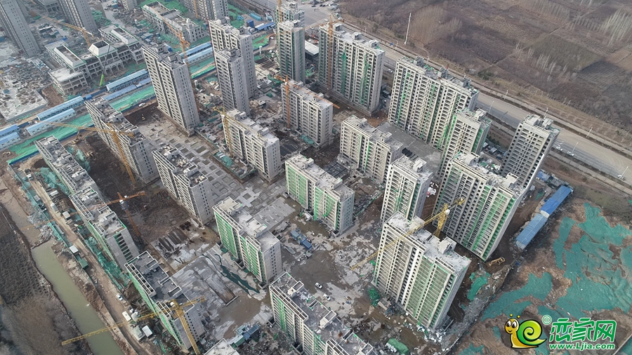 嘉洲實景