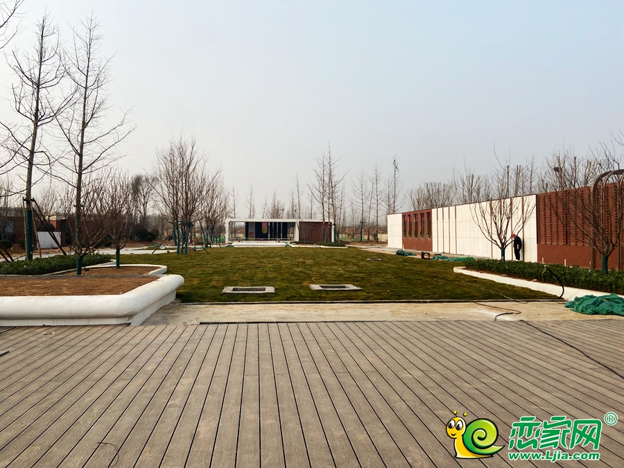 東湖森林實(shí)景圖（2023.03.01）
