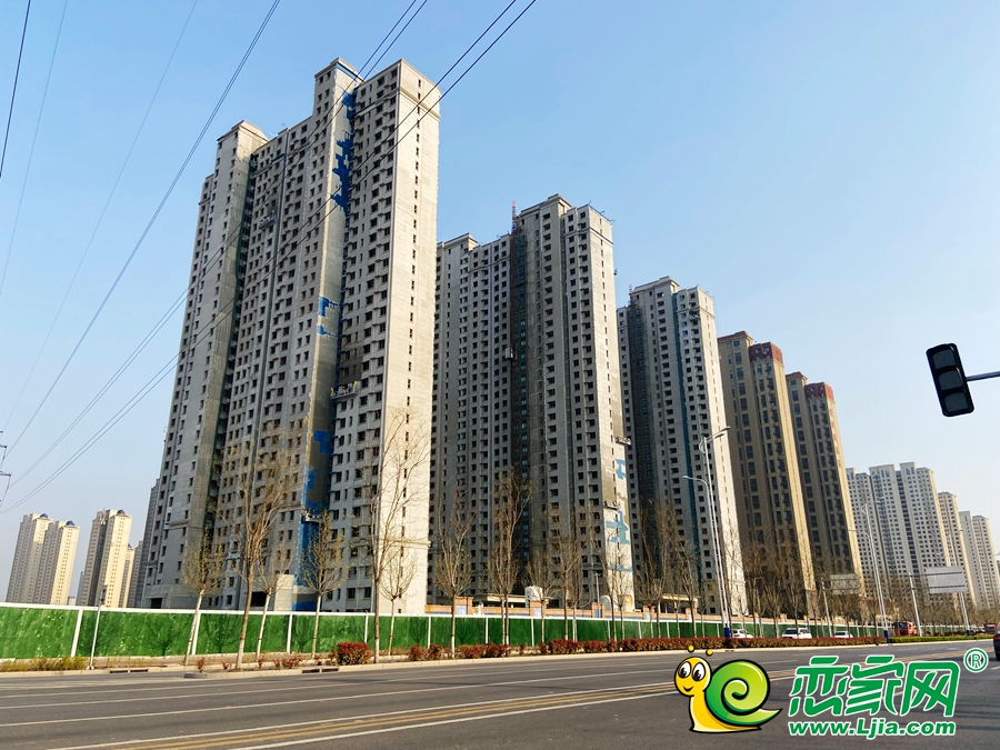 楓林苑實(shí)景