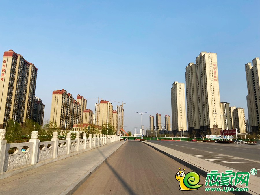 楓林苑實(shí)景