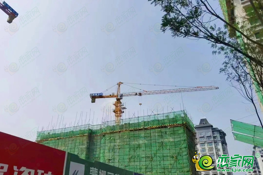 實(shí)景圖