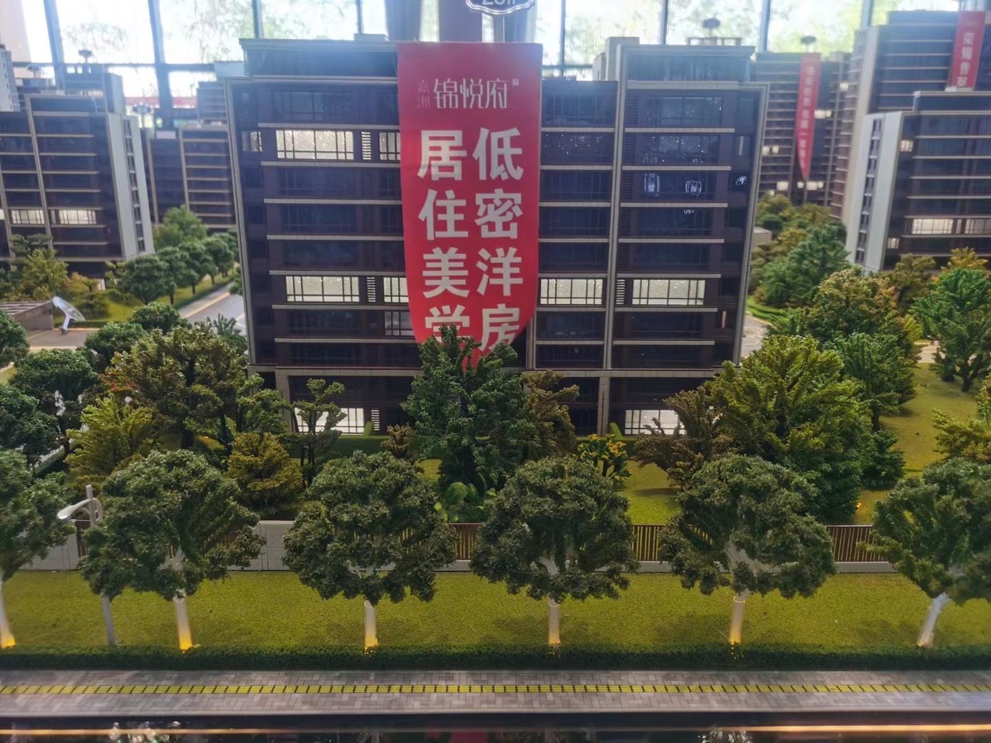 嘉洲錦悅府 洋房帶電梯總高9層 首付22萬